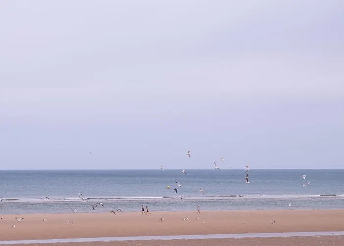 La D'or Vierville-sur-Mer